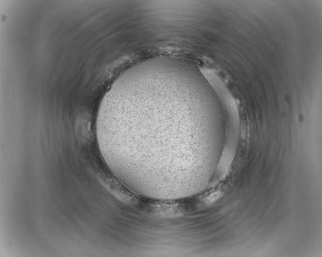 X0000081560615200701291151