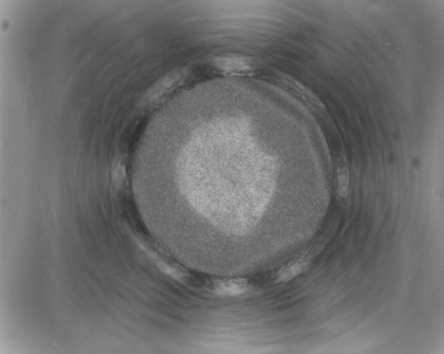 X0000081560618200701291151