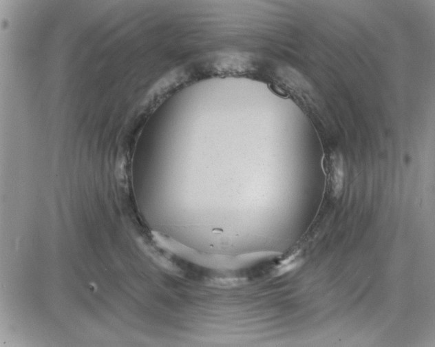 X0000081560619200701291151