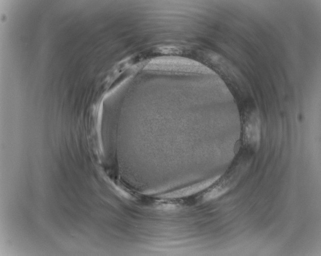 X0000081560620200701291151