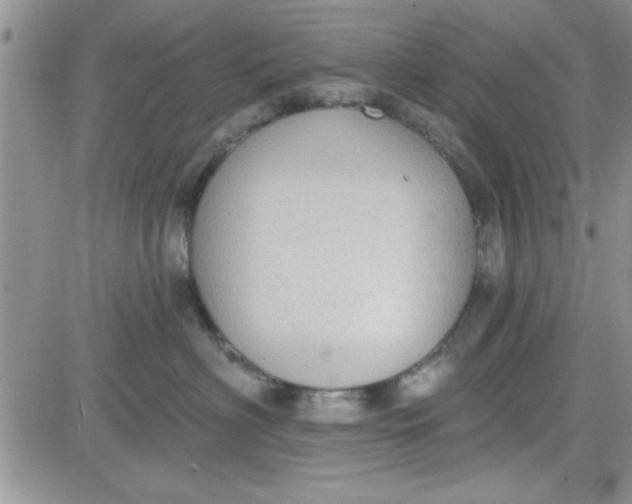 X0000081560622200701291151