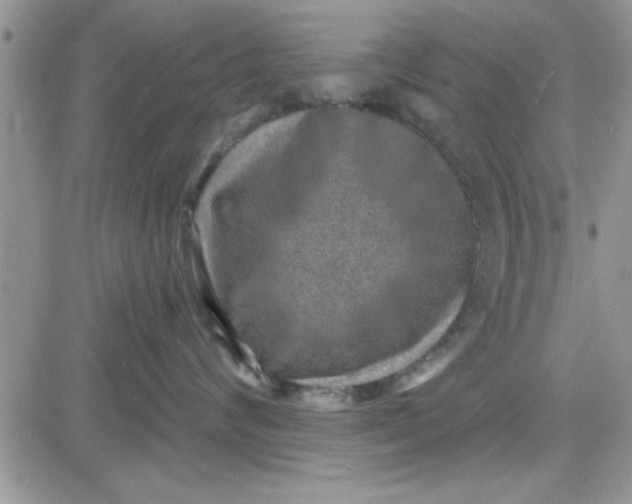 X0000081560624200701291151