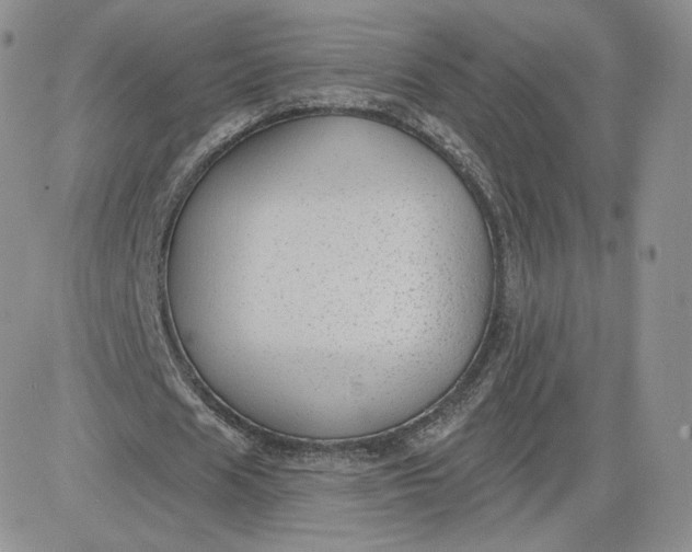 X0000081560625200701291150