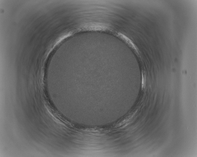 X0000081560627200701291150