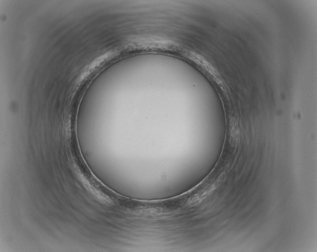 X0000081560629200701291150