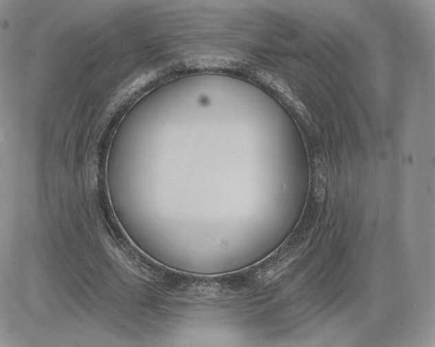 X0000081560631200701291150