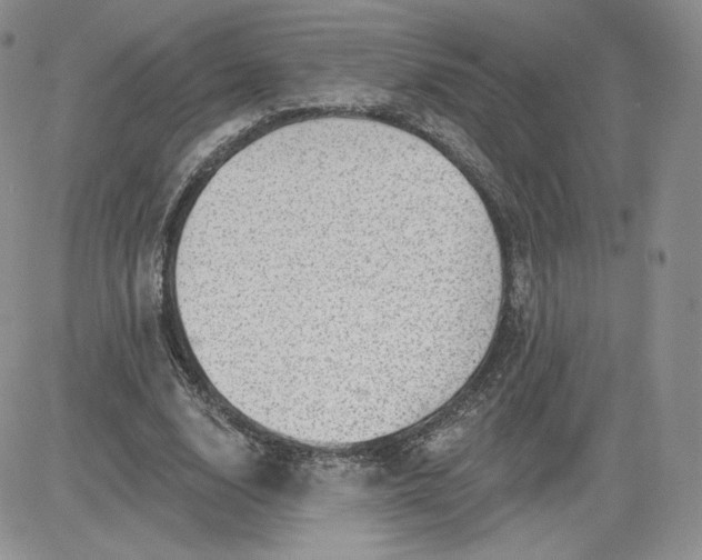 X0000081560632200701291150