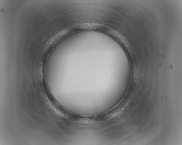 X0000081560633200701291150