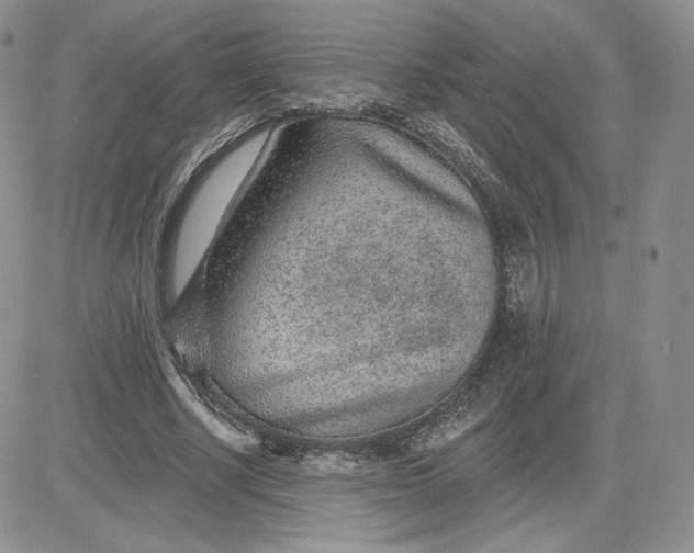 X0000081560634200701291150