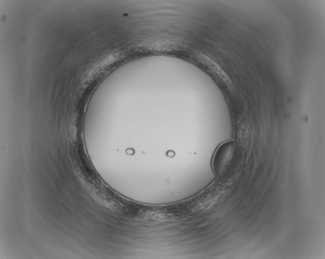 X0000081560635200701291150