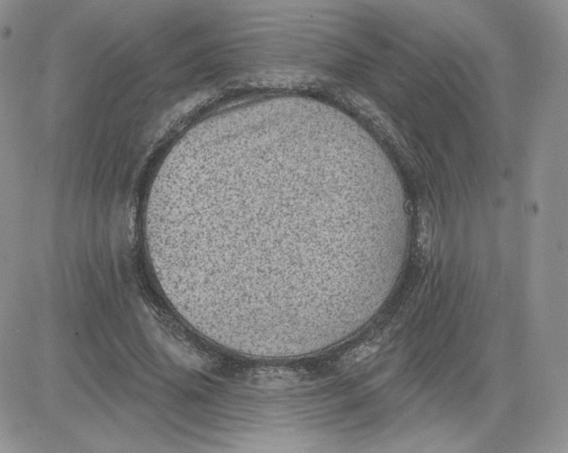 X0000081560636200701291150