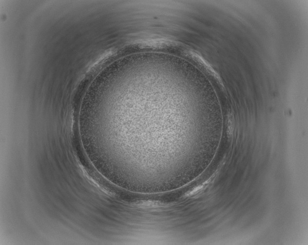 X0000081560637200701291150