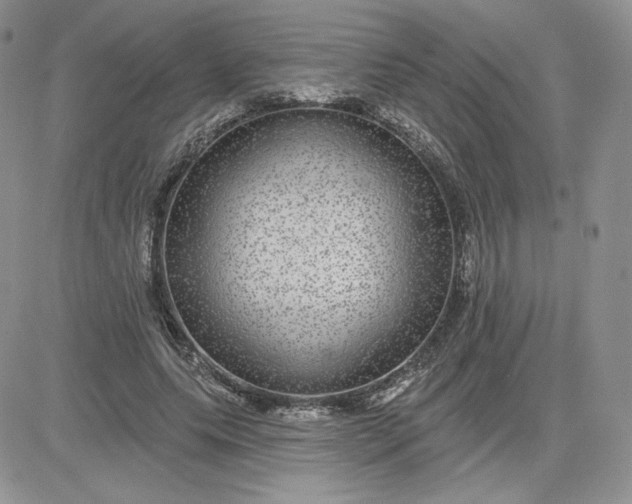 X0000081560639200701291150