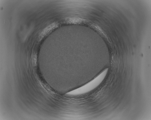 X0000081560640200701291151