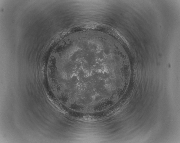 X0000081560641200701291151