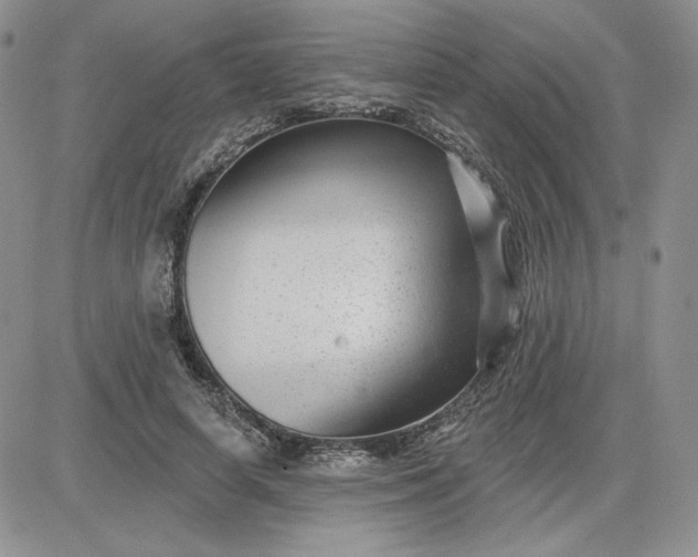 X0000081560642200701291151