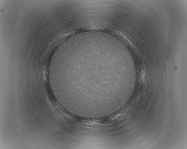 X0000081560643200701291151