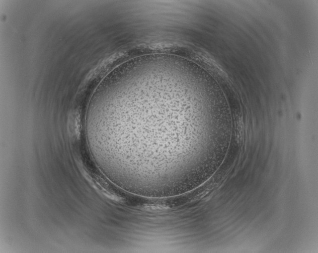 X0000081560644200701291151