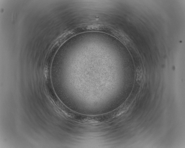 X0000081560648200701291151