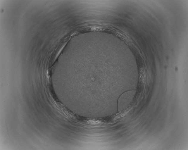 X0000081560650200701291151