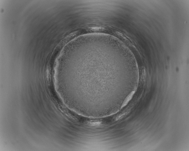 X0000081560651200701291151