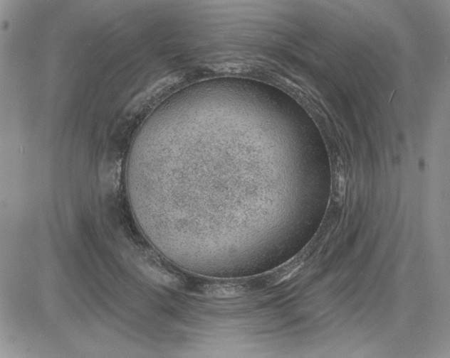 X0000081560652200701291151