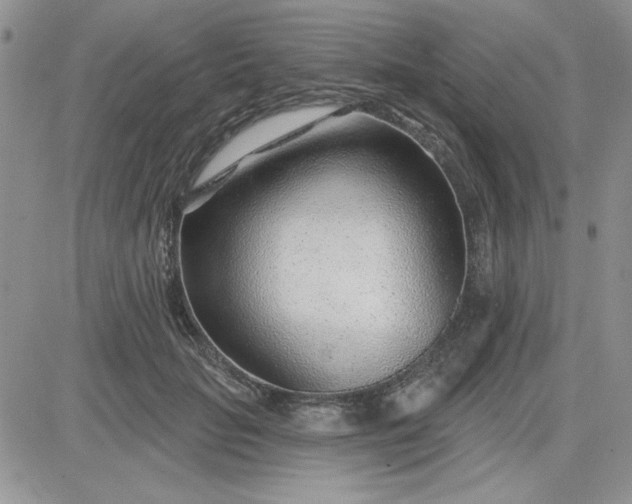 X0000081560653200701291151