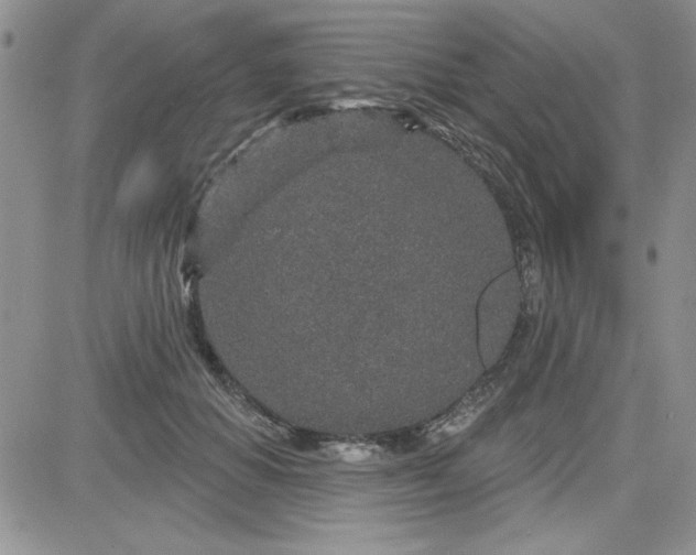 X0000081560654200701291151