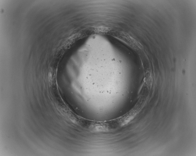 X0000081560655200701291151