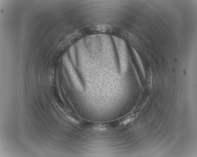 X0000081560656200701291151