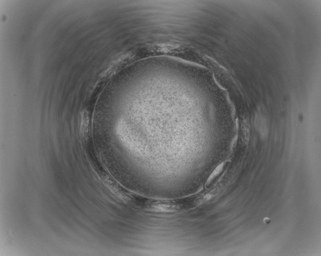 X0000081560657200701291151