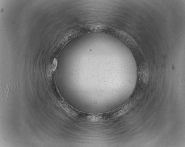 X0000081560660200701291151