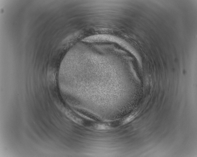 X0000081560662200701291151