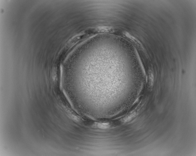 X0000081560665200701291151