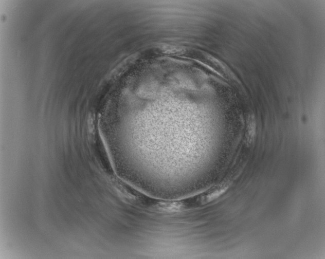 X0000081560667200701291151