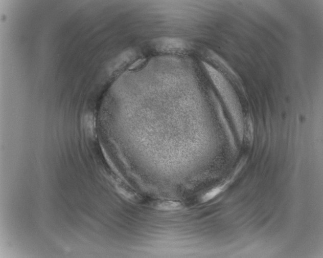 X0000081560669200701291151