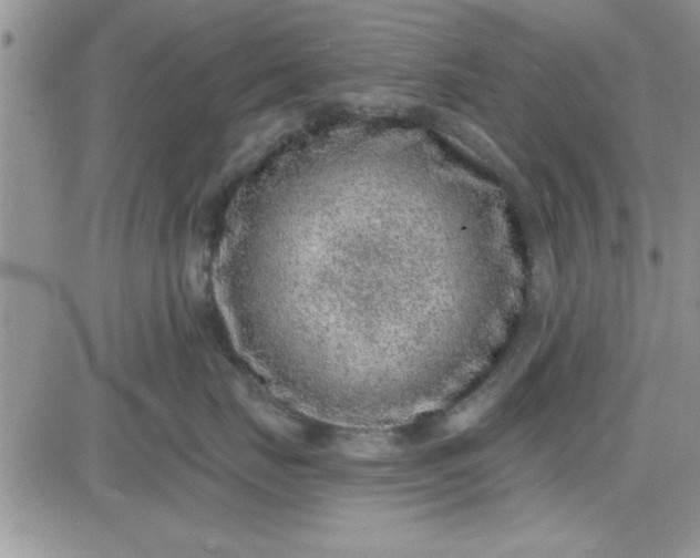 X0000081560671200701291151