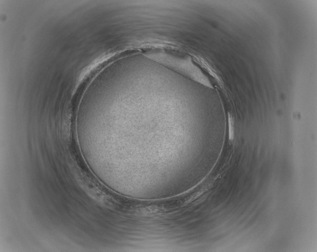 X0000081560675200701291150