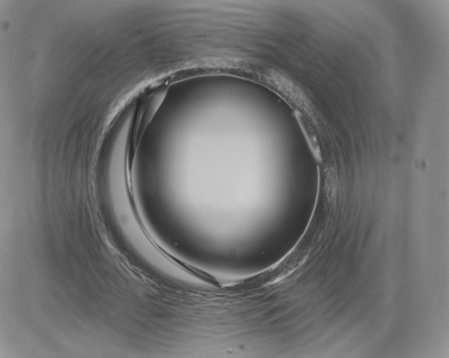 X0000081560676200701291150