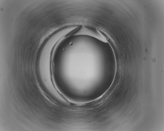 X0000081560677200701291150