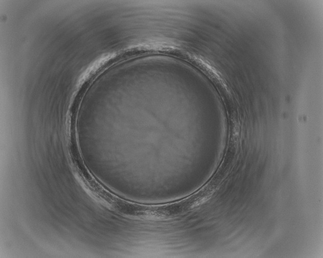 X0000081560678200701291150