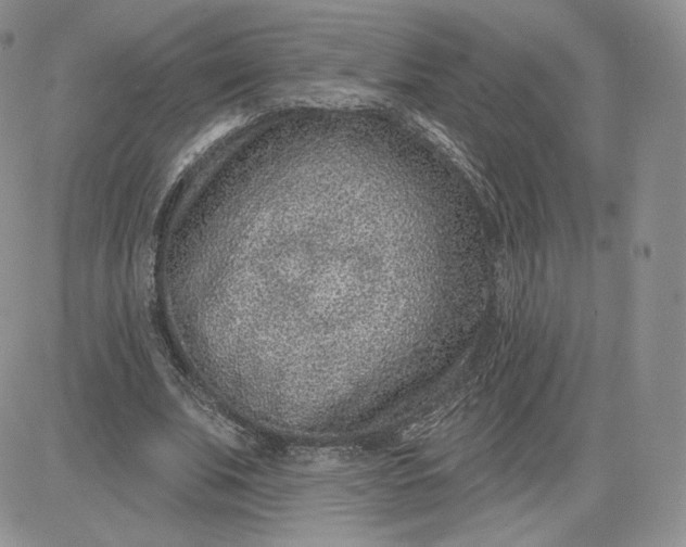 X0000081560679200701291150