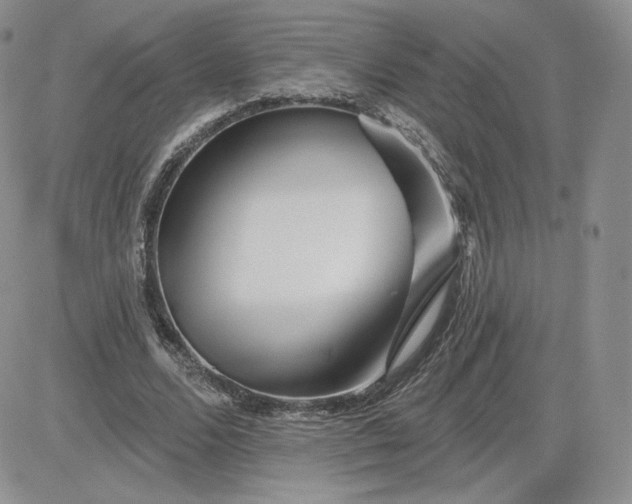 X0000081560680200701291150