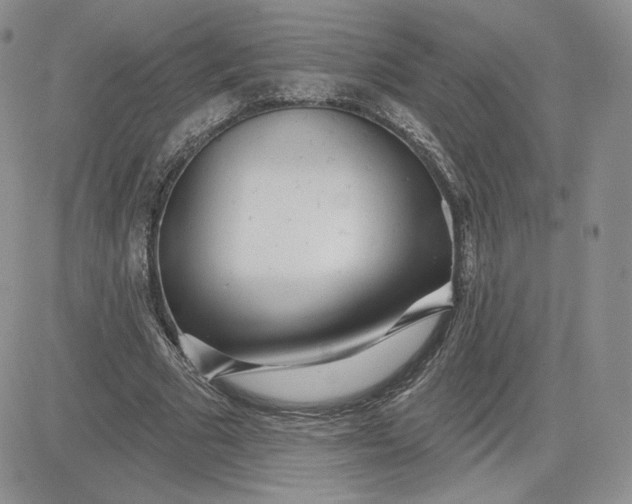 X0000081560681200701291150