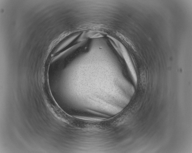 X0000081560682200701291150