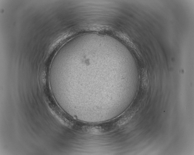 X0000081560683200701291150