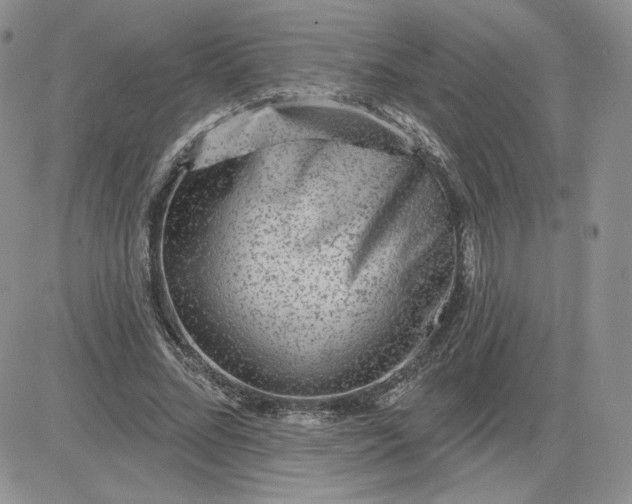 X0000081560684200701291150