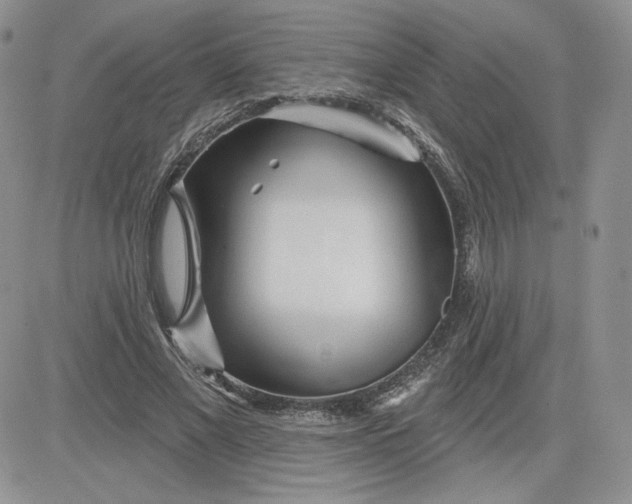 X0000081560685200701291150