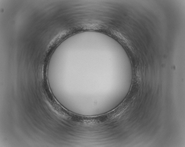 X0000081560686200701291150