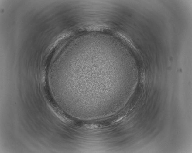 X0000081560687200701291150